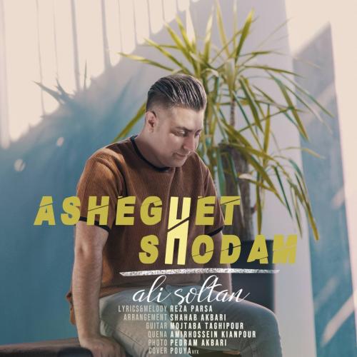 دانلود آهنگ عاشقت شدم علی سلطان